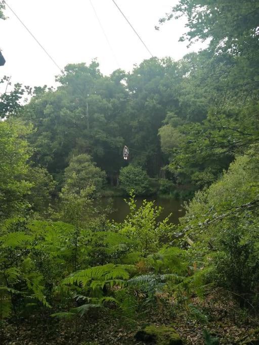 Le Mimosa, Maison De Vacances Trans-la-Foret Luaran gambar