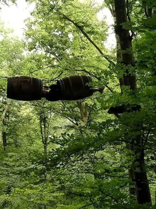 Le Mimosa, Maison De Vacances Trans-la-Foret Luaran gambar